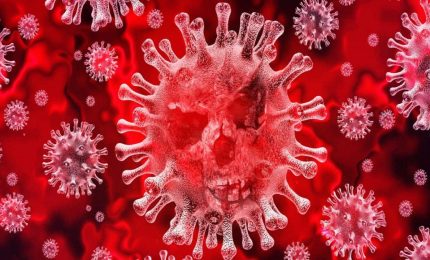 Guido Silvestri: perché il Covid-19 è "un virus senza speranza"