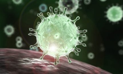 Coronavirus: siamo sicuri che la 'patente di immunità' o 'l'immunità di gregge' possano essere subito attuabili?