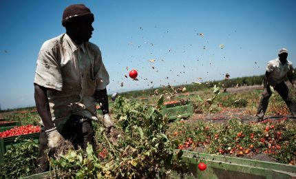 Agricoltura ed emergenza Coronavirus: non ci sono pi&ugrave; i braccianti agricoli per raccogliere l'ortofrutta nei campi...