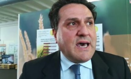 Renzi difende la Ministra Bellanova e attacca il senatore De Bonis. Che replica a muso duro