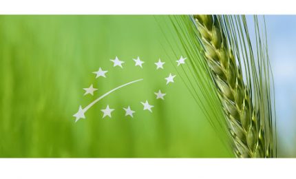 Commissione e Parlamento europei vogliono affossare l'agricoltura: si inizia con un taglio da 35 miliardi di euro