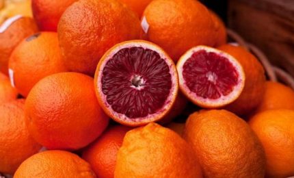 Incredibile: 10 mln per gli agrumi siciliani. Musumeci e Bandiera hanno fatto una cosa utile!