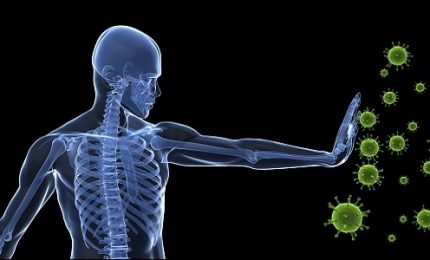 Coronavirus/ Con Guido Silvestri proviamo a capire cos'&egrave; l'immunit&agrave;