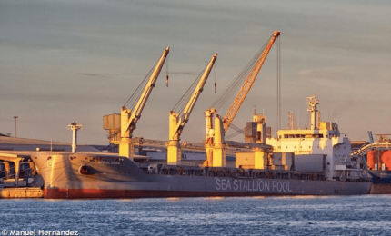 Otto navi di grano canadese e americano a Bari: dieci senatori firmano un'interrogazione al Governo/ MATTINALE 519