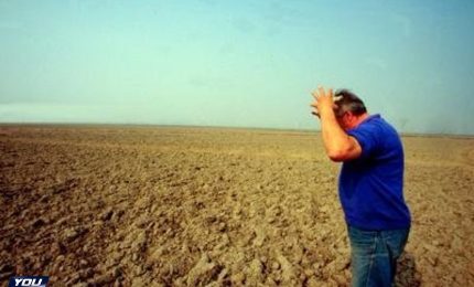 Agricoltori del Sud Italia e della Sicilia traditi da centrosinistra, centrodestra e grillini/ MATTINALE 460