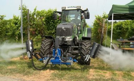 Come viene effettuato il diserbo dei vigneti in Sicilia? Lo chiediamo seguendo il dibattito in Piemonte...