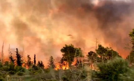 Dopo che mezza Sicilia è andata a fuoco il Governo Musumeci dà il via alla stagione antincendio