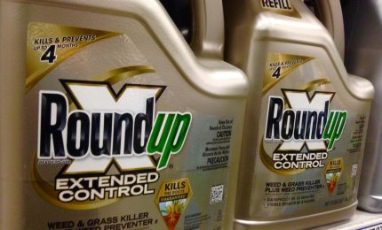 Glifosato: la Bayer costretta a pagare 10 miliardi di dollari a tanti cittadini americani. In Europa, invece...