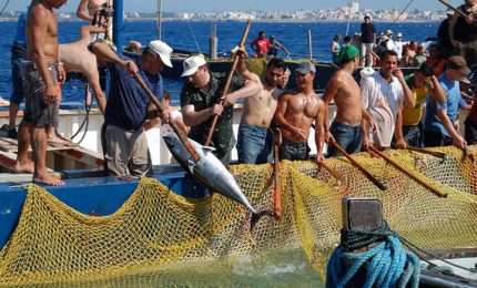 Per il secondo anno consecutivo il Governo nazionale penalizza la Tonnara di Favignana