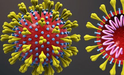 Coronavirus: in Sicilia ceppi più aggressivi di importazione/ MATTINALE 492