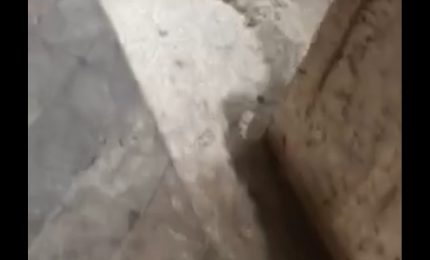 PALERMO-CITTA' 8/ Liquami ed escrementi umani in Piazza Ungheria