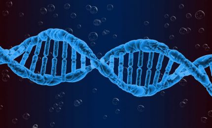 Il DNA avrebbe salvato la popolazione del Sud Italia dal COVID-19 o Coronavirus