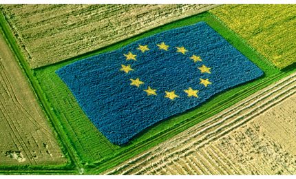 La Ue prepara il 'funerale' dell'agricoltura mediterranea. Taglio del 10% al settore e...