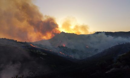E se dietro i continui incendi in Sicilia ci fosse una strategia terroristica?
