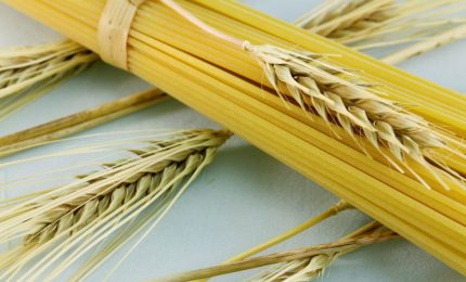 Prezzo del grano duro di nuovo gi&ugrave;. Ma in Sicilia c'&egrave; chi ha preso le contromisure