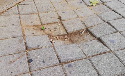 PALERMO-CITTA' 30/ Marciapiede con 'truppicuni' in via Libertà. Ma come si fa?