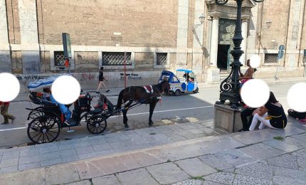 PALERMO-CITTA' 26/ Adesso anche la puzza di urina di cavalli!