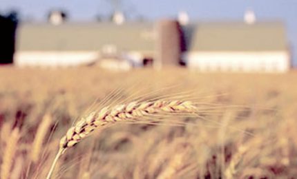 La CUN al servizio degli agricoltori e non per i professionisti dell'agricoltura