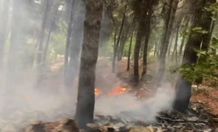Per ridurre gli incendi in Sicilia vanno assunti gli operai della Forestale per farli lavorare tutto l'anno/ MATTINALE 528