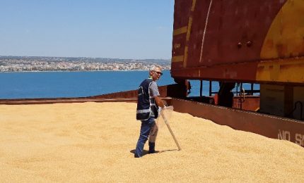 Pasta? Italiana. Olio d'oliva? Italiano. Pomodoro? Italiano. Latte? Italiano. Allora perch&eacute; l'agricoltura &egrave; in crisi?