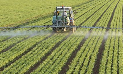 L'Italia vende a altri Paesi del mondo i pesticidi vietati nell'area Ue perché dannosi per la salute/ MATTINALE 449