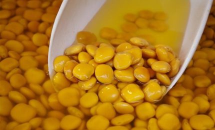 Coronavirus in Sicilia: hanno fatto partire e arrivare tutti e ora presentano il conto a famiglie e imprese! Ma i luppini per i Governi no?