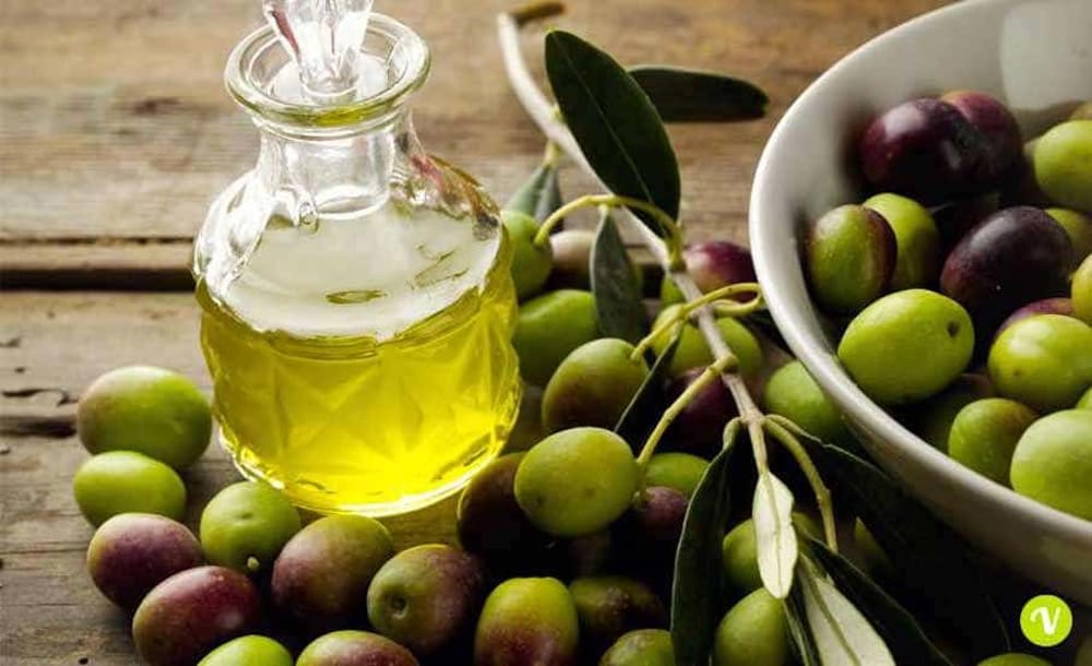 Vi Raccontiamo Perch L olio D oliva Tunisino Sta Distruggendo L olio D 
