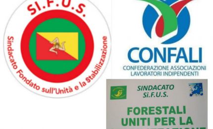Operai della Forestale: ddl per bloccare la restituzione degli arretrati. Ma...