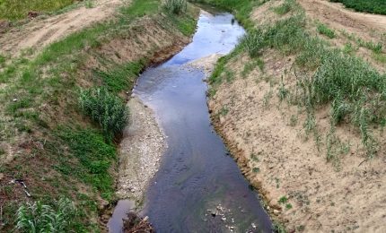 Agrigento, il mare di Cannatello inquinato dalle acque di vegetazione di un oleificio! (VIDEO impressionante!)