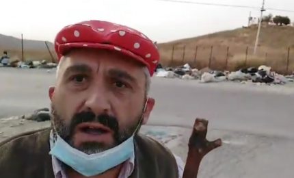 Favara: lo 'sciopero' delle pecore che si rifiutano di pascolare tra la munnizza! (VIDEO)