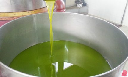 L'olio d'oliva extra vergine? Costa 5 euro al litro. Ma c'è chi lo vende a 2,50 euro al litro. La denuncia della CIA siciliana