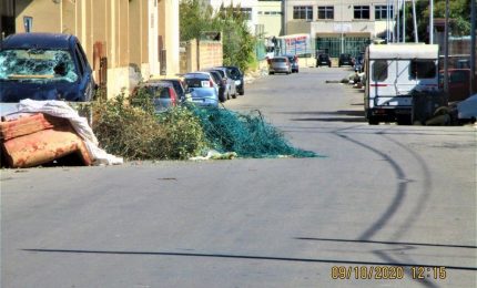Palermo/ Trenta alberi allo ZEN 2 per nascondere il degrado di un quartiere ghetto (8 FOTO)