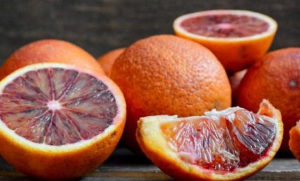 Iniziata la raccolta di arance rosse, produzione in lieve aumento