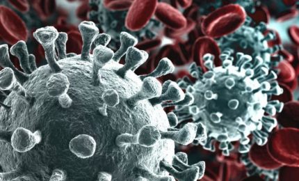 Il virus SarsCoV2 sta evolvendo per sfuggire al sistema immunitario umano