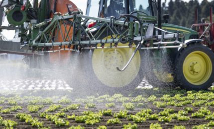 Negli ultimi 30 anni, nel mondo, i casi di avvelenamento da pesticidi sono passati da 25 milioni a 385 milioni/ SERALE