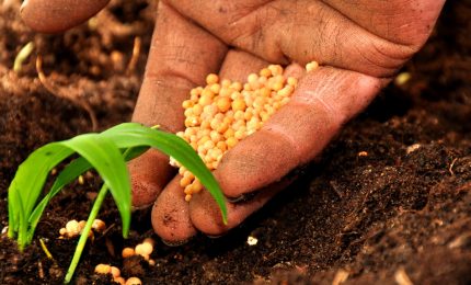 La Cgil di Palermo contro il 'caporalato'. Giusto. E la globalizzazione dove la mettiamo?