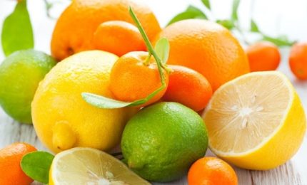 Per rilanciare gli agrumi siciliani e del Sud Italia la globalizzazione dell'economia non serve!/ SERALE