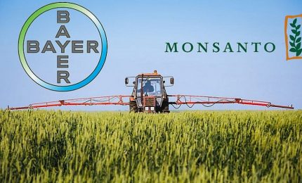 Cos&igrave;, per curiosit&agrave;: che rapporti ci sono tra l'amministrazione Biden e l'accoppiata Bayer-Monsanto?