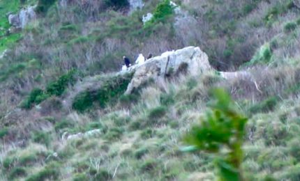 Qualcuno ha aiutato l'assassino di Roberta Siragusa? Chi? E perch&eacute; l'avrebbe fatto?