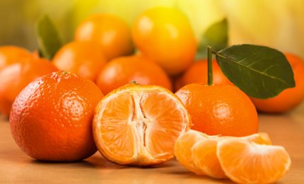 Spagna: concorrenza sleale all'ortofrutta italiana su pesticidi e carburante. La Cina blocca l'import