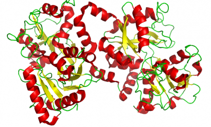 La lattoferrina &egrave; efficace nella lotta al Covid-19: blocca l'entrata del virus/ SERALE
