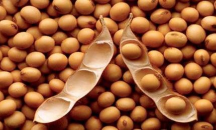 Solito gioco litro/kg sul latte. Aumento del prezzo dei mangimi e rischio calo dei consumi interni