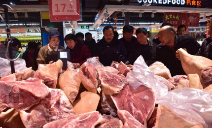 Il paradosso: la Cina non vuole la carne di maiale del Nord Italia perché contaminata dal Covid! / MATTINALE 466