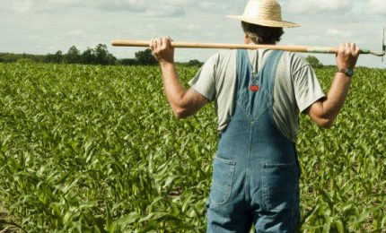 Raccolto l'appello di Terra &egrave; Vita: mozione all'Ars per bloccare il calo dei prezzi e i debiti delle aziende agricole
