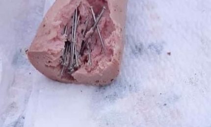 Sant'Agata di Militello, würstel infarcito di spilli per uccidere i cani tra mille sofferenze