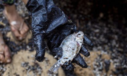 Disastro ambientale senza precedenti in Israele: 170 km di spiagge inquinate dal petrolio