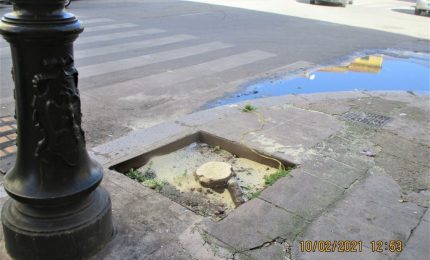 Palermo, si abbattono gli alberi e si lascia la fogna a cielo aperto!
