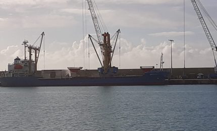 La pandemia infuria, cadono i Governi, ma in Sicilia continuano ad arrivare le navi di grano estero!/ MATTINALE 489