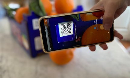 Stop alle frodi, dal coltivatore al produttore di bibite, dieci aziende agrumicole siciliane sperimentano la tecnologia Blockchain