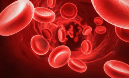 Il dramma di una giovane professoressa di 31 anni morta di trombo-embolia